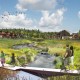 Ektorp Ängsmark